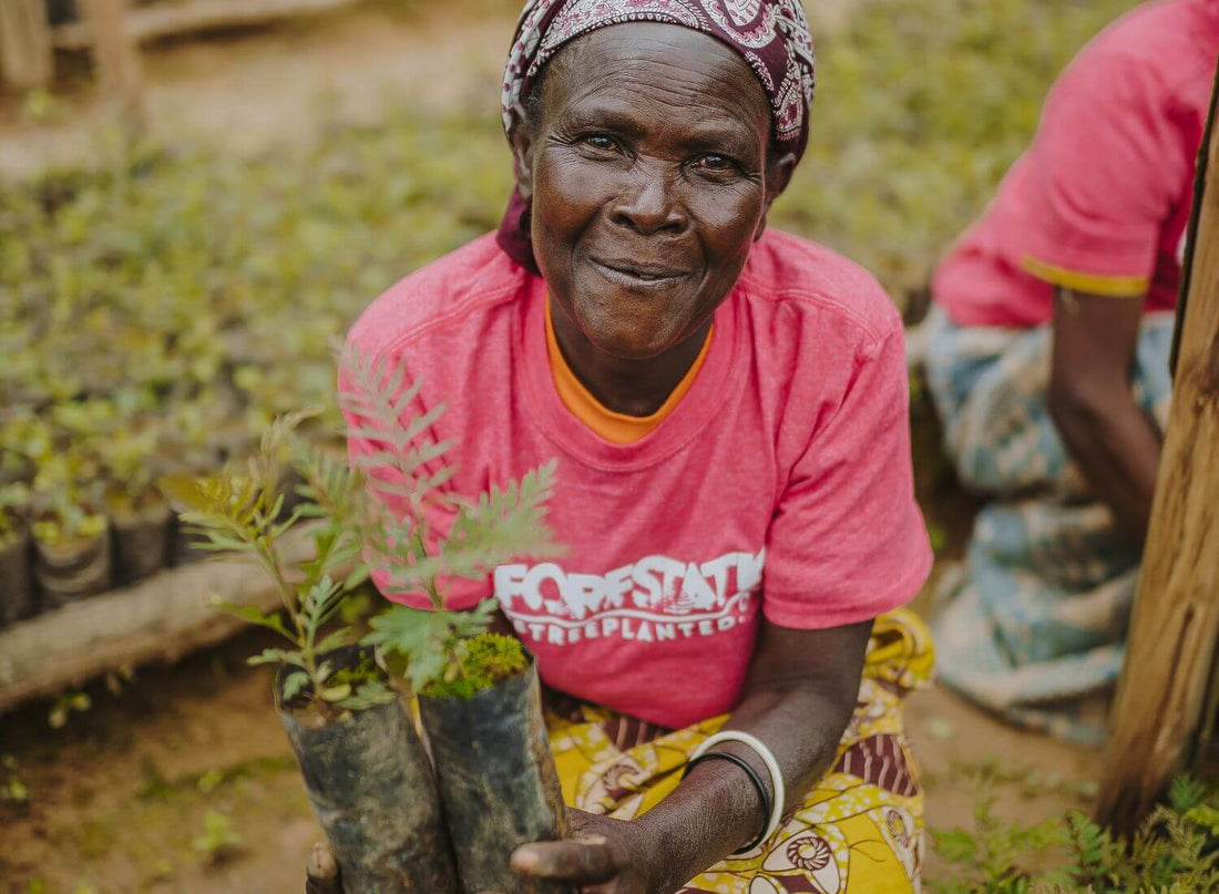 Woman planting a tree