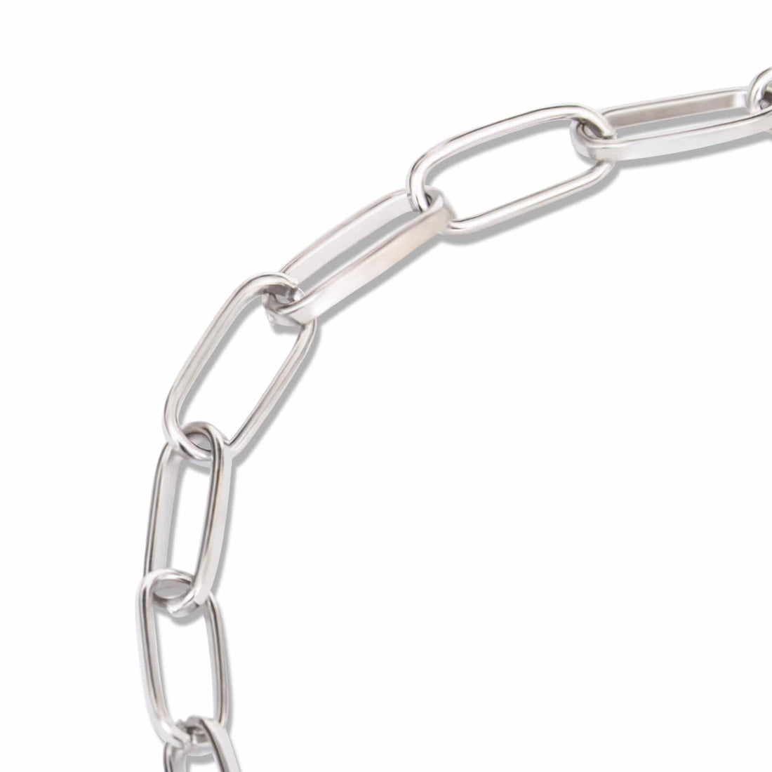 Eyewear Chain - Silver Link Glasses Chain